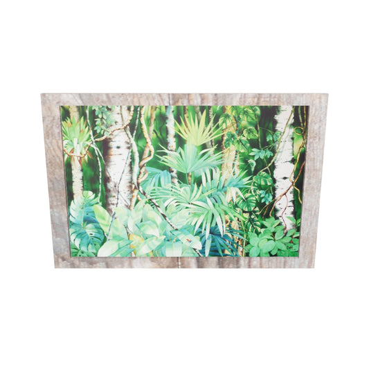 Ventana a la Selva, 2011