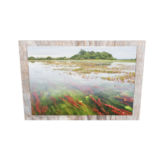 Sabana inundada-Arauca, 2019