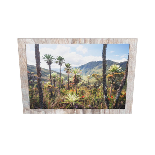 Paramo de Chingaza-Cundinamarca, 2019