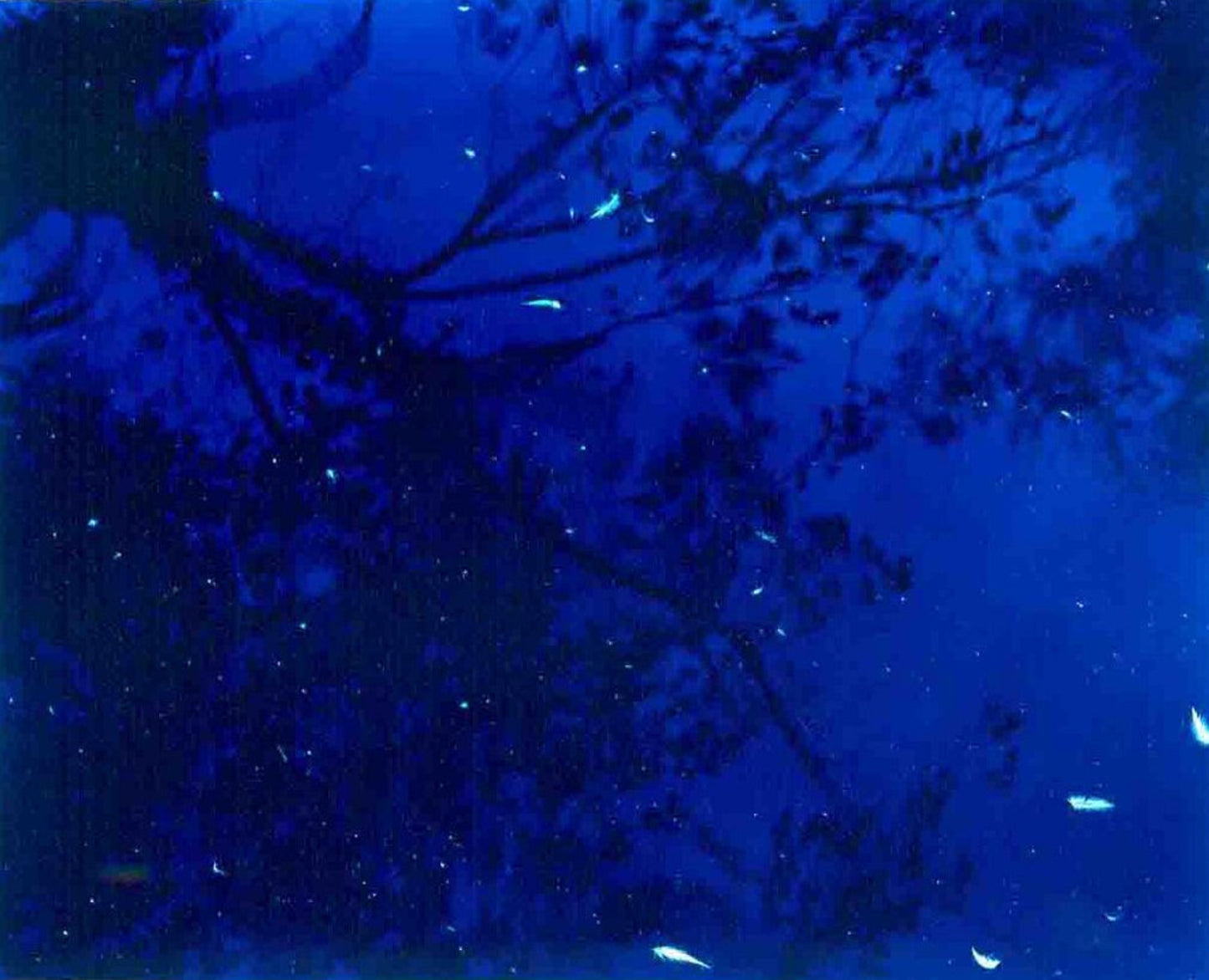 Water Series: Basel Switzerland, 2001 - Per Bak Jensen