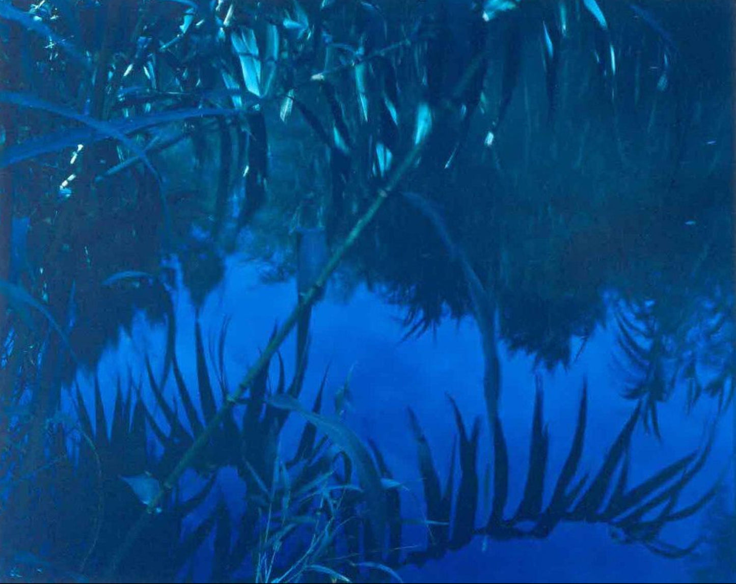 Water Series: Basel Switzerland, 2000