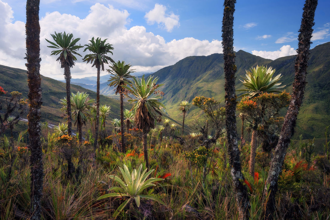 These 3 Pieces of Fine-Art Photography Will Blow You Away