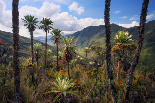 These 3 Pieces of Fine-Art Photography Will Blow You Away