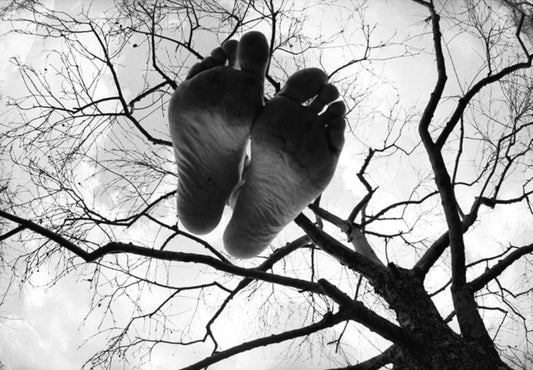 New City, New York, 1971