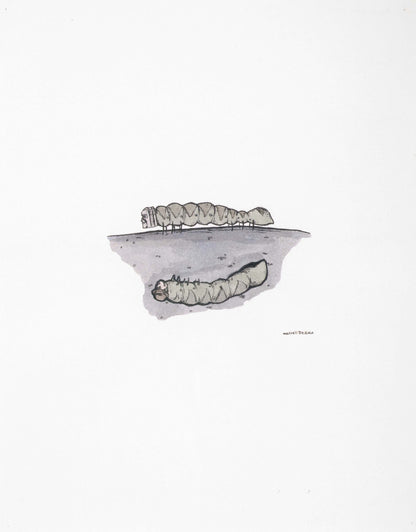 Marcel Dzama's Collection, 1977