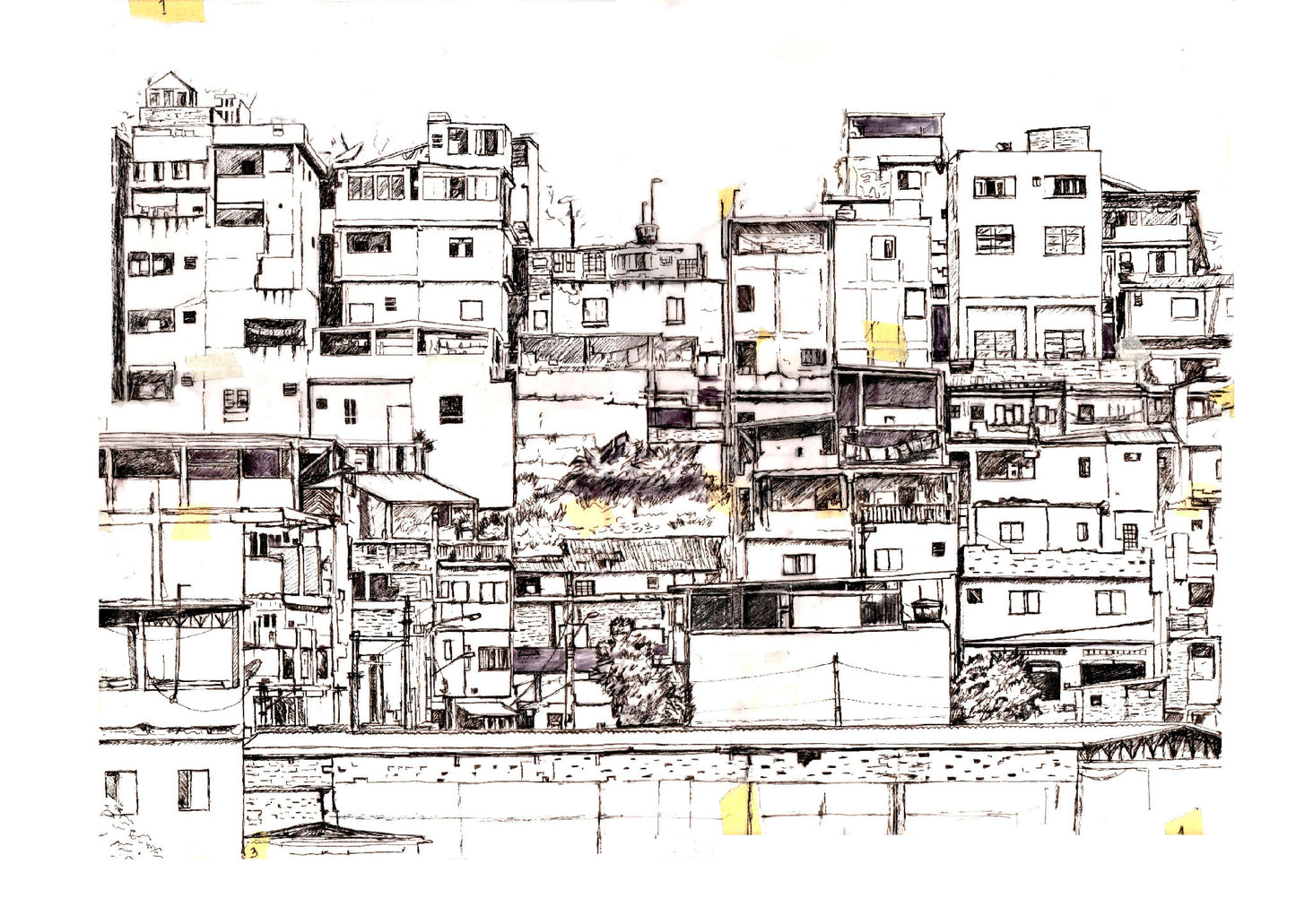 Southeastern Hill Cali, 2024