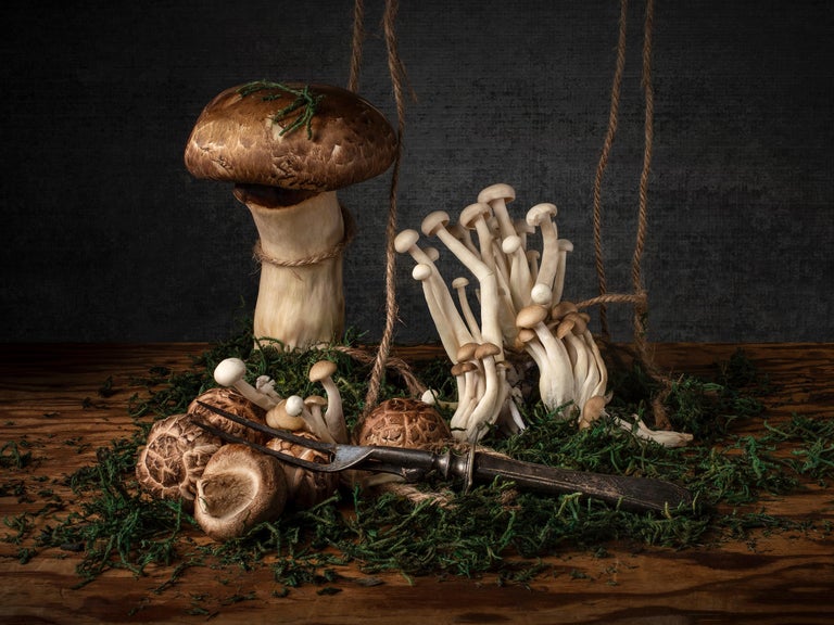 MUSHROOM LANDSCAPE