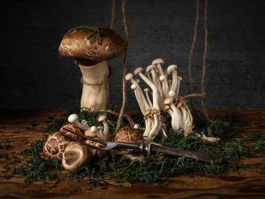MUSHROOM LANDSCAPE