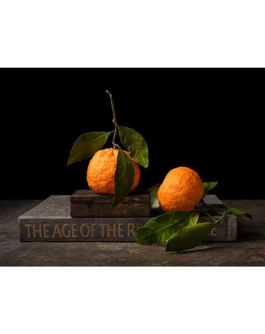 MANDARINS WITH BOOK
