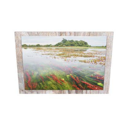 Sabana inundada-Arauca, 2019