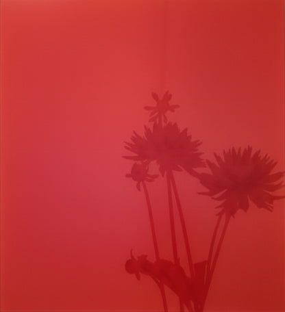 Untitled (06.7), 2006