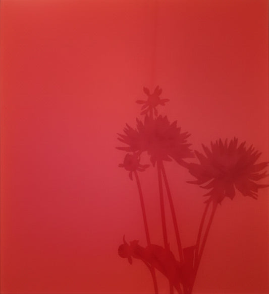 Untitled (06.7), 2006