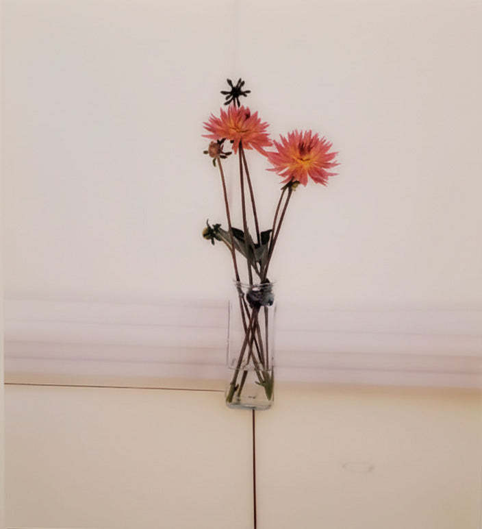 Untitled (06.7), 2006