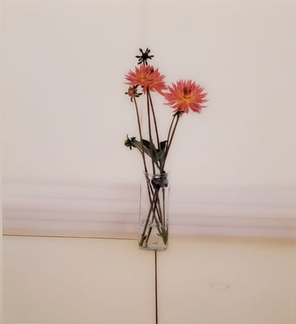 Untitled (06.7), 2006