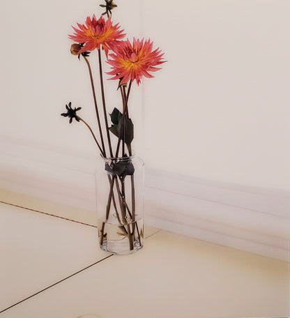 Untitled (06.7), 2006