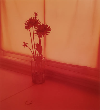 Untitled (06.7), 2006