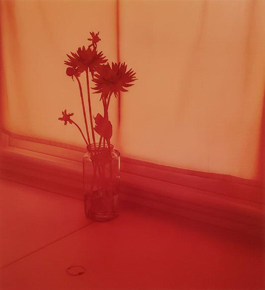 Untitled (06.7), 2006