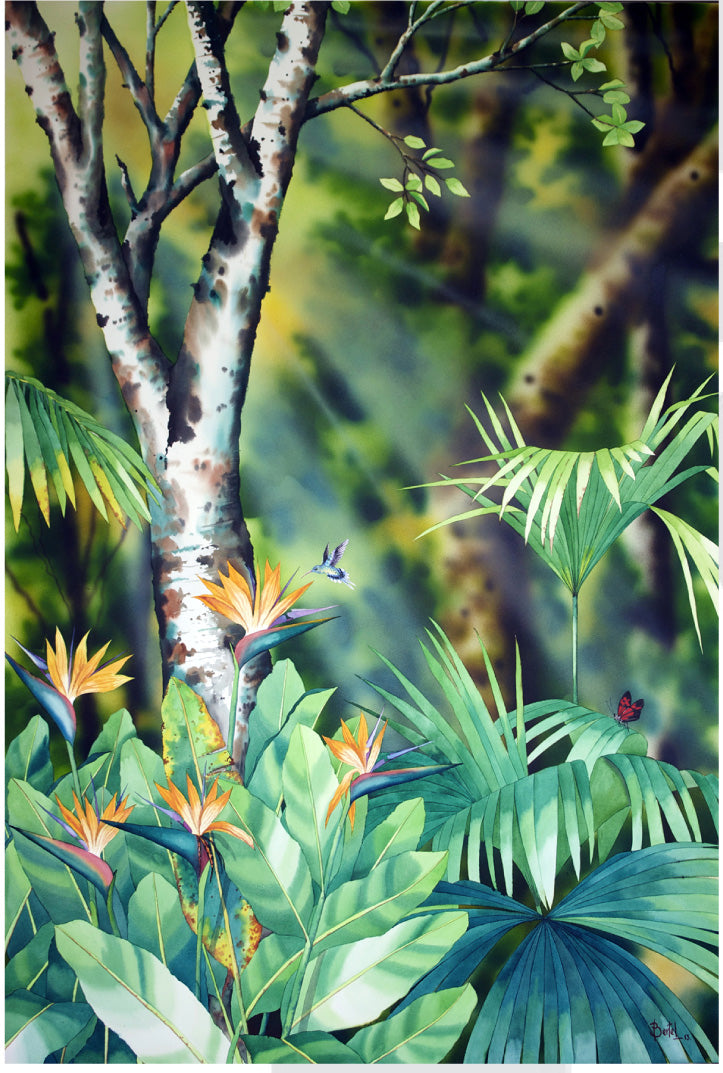 Anunciacion en la Selva, 2013