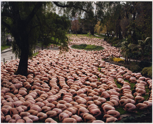 Melbourne 2, 2003 - Spencer Tunick