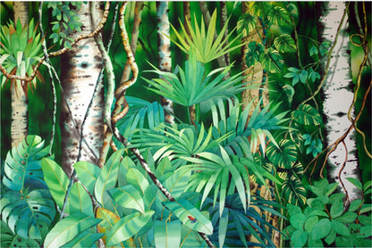 Ventana a la Selva, 2011